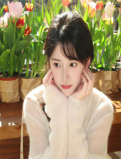 发布会实录：神州侠侣评分测评：是否值得花时间观看的深度分析